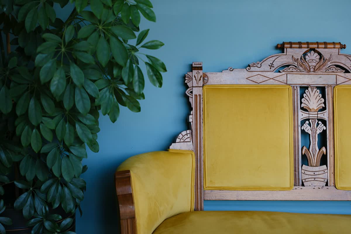 The yellow velvet settee and plant in the studio's waiting area